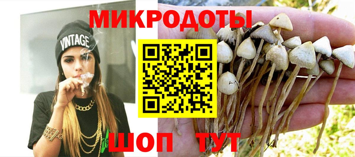 Псилоцибиновые грибы MAGIC MUSHROOMS  Вход с VPN  Шали  Псилоцибиновые грибы ЛСД 